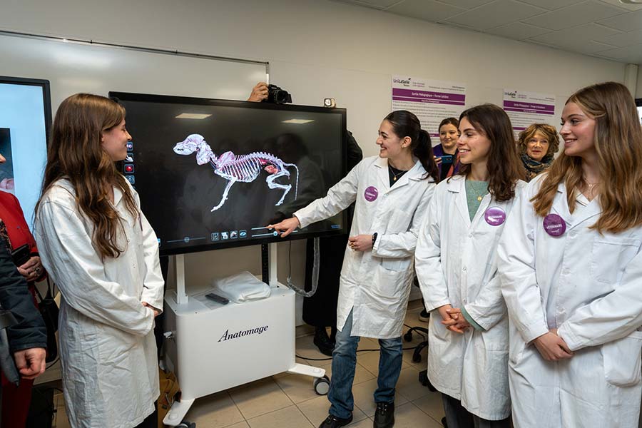 élèves en école vétérinaire présentant l'anatomie d'un chien sur un écran de télévision