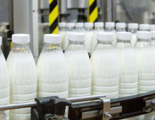 Formation Élevage laitier et transformation