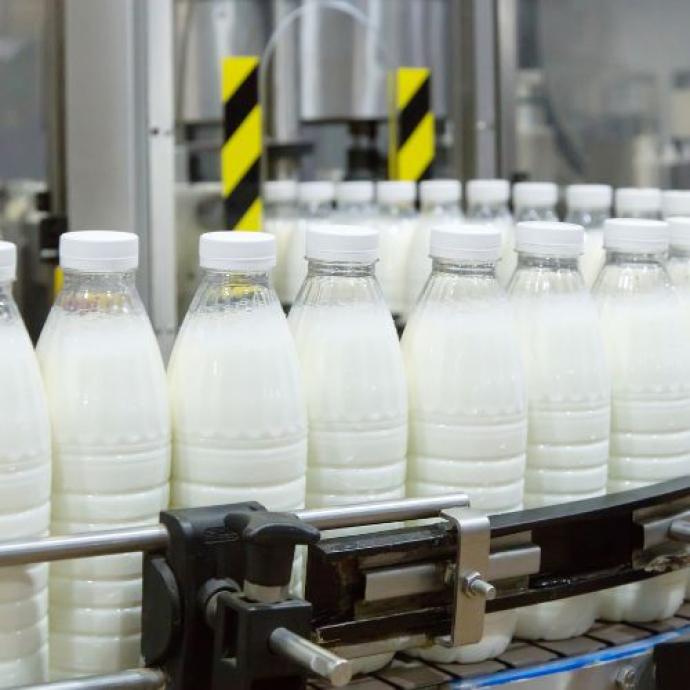 Transformation laitière