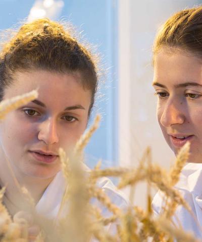 élèves ingénieures en Agronomie à UniLaSalle