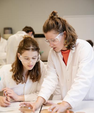 Formation ingénieur en Génie de l'environnement - TP Chimie